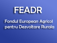 F.E.A.D.R
