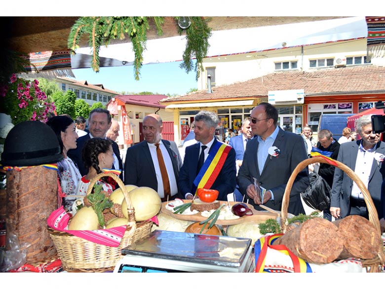 Apariții mass-media