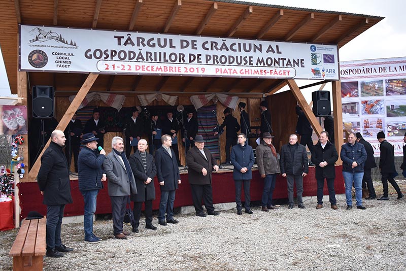 Apariții mass-media