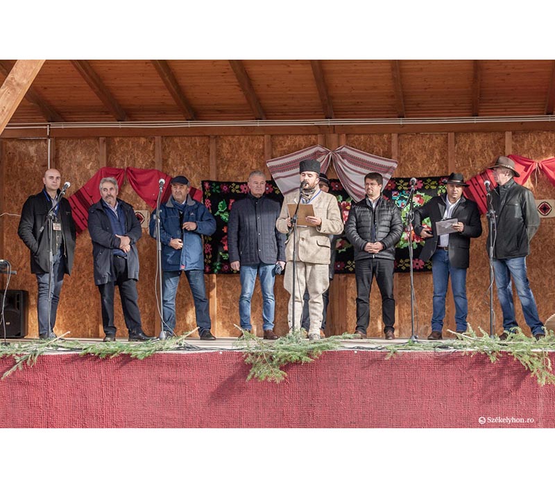Apariții mass-media